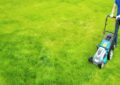 lawn aeration services in San Antonio,