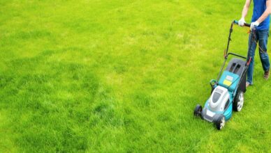 lawn aeration services in San Antonio,