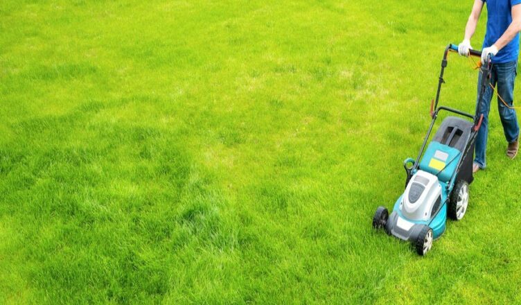 lawn aeration services in San Antonio,